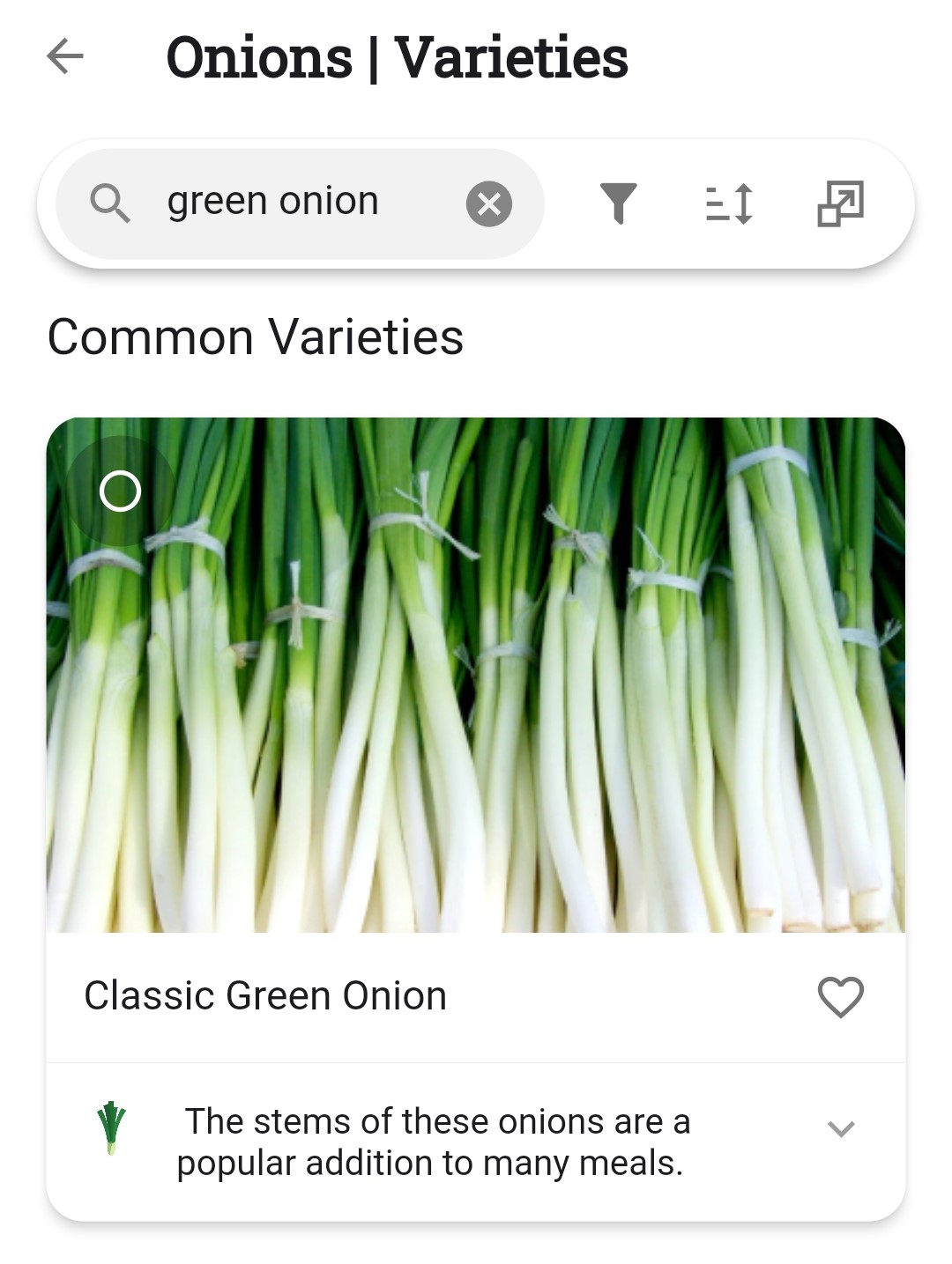 Screenshot of green onions as a variety of onions