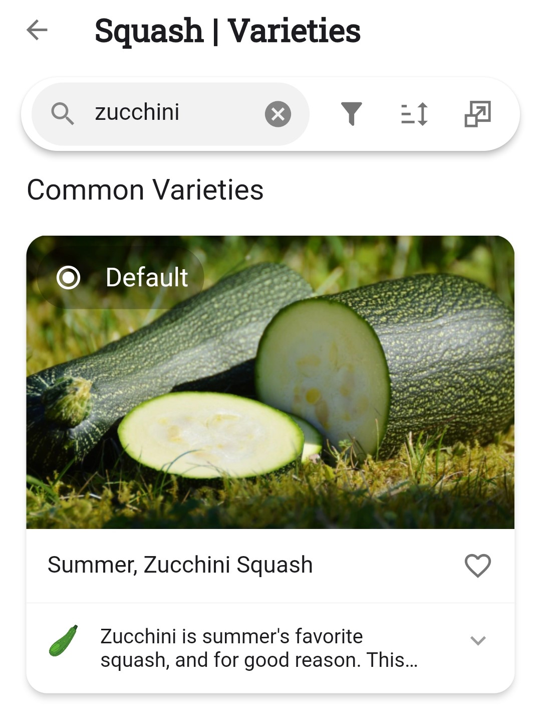 Screenshot of zucchini as a variety of squash