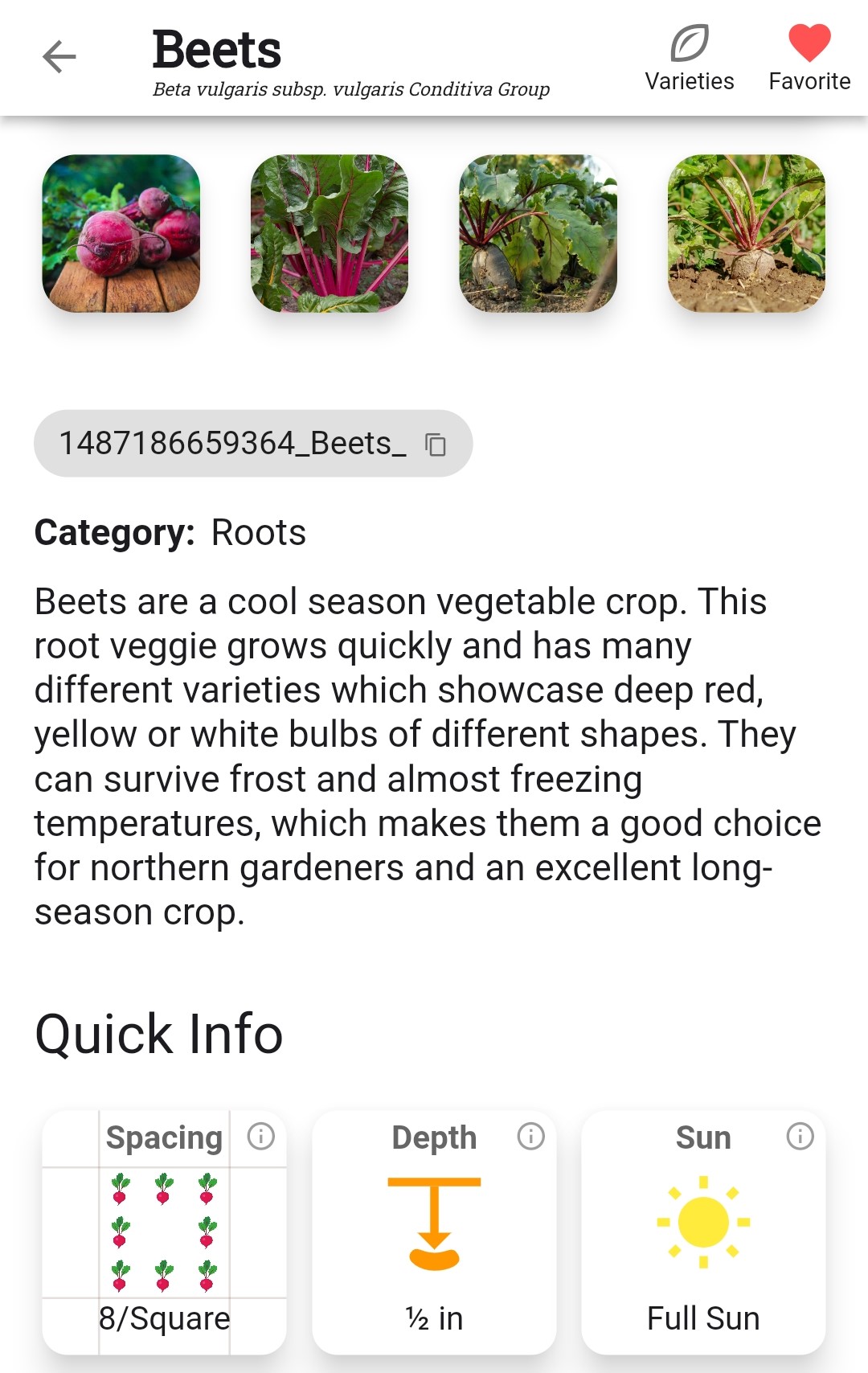 Screenshot of the plant spacing for beets edited to 8 per square foot