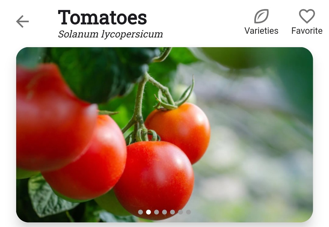 Screenshot of the Varieties tab for tomatoes