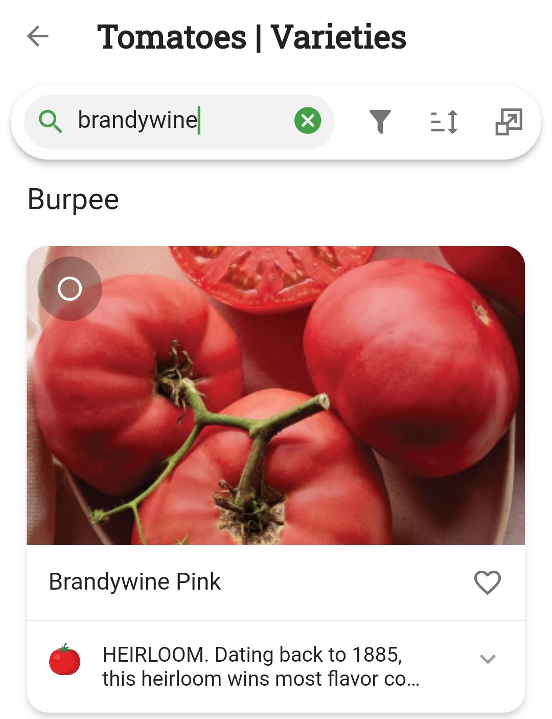 Screenshot of variety search for brandywine tomatoes