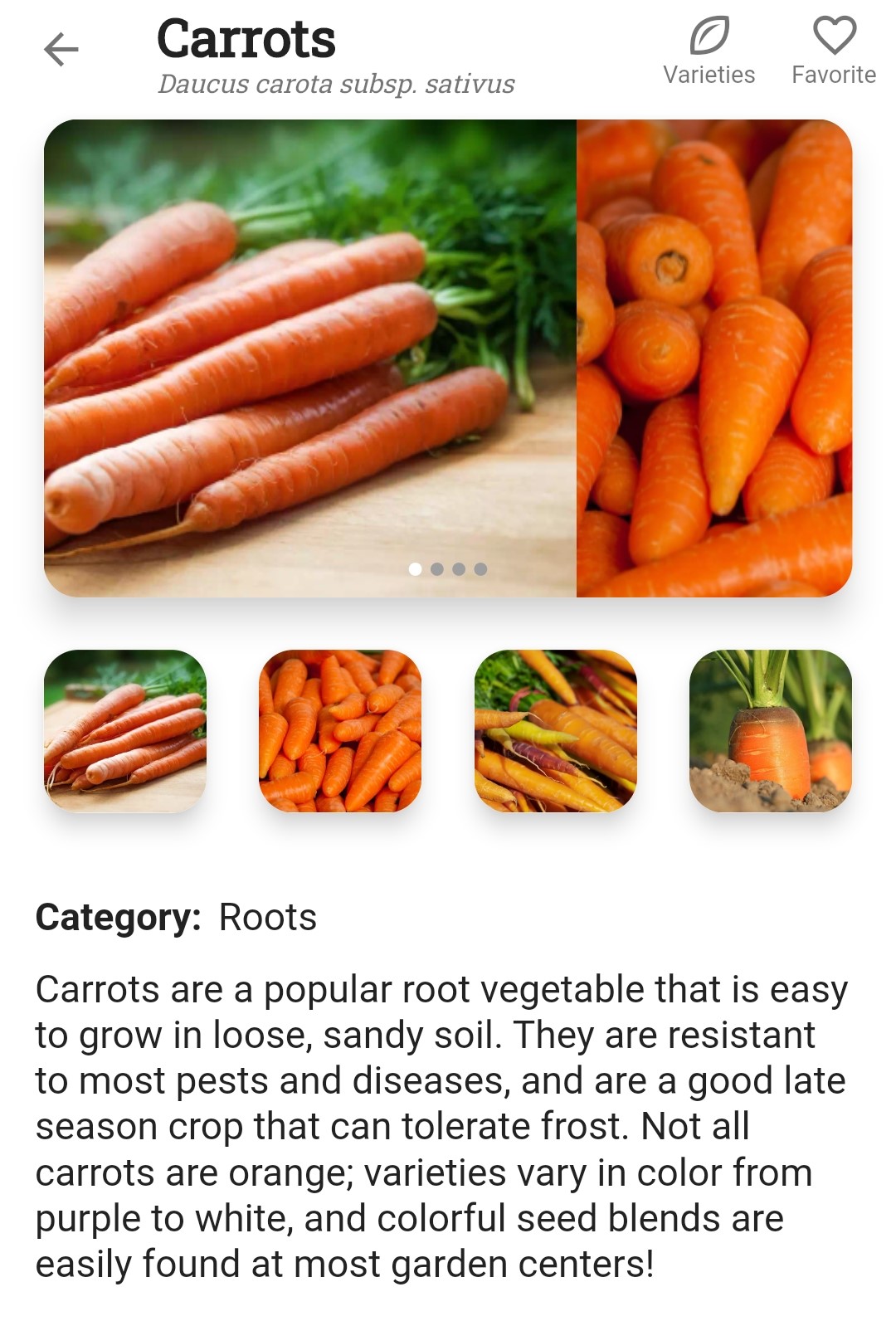 Screenshot of carrots description