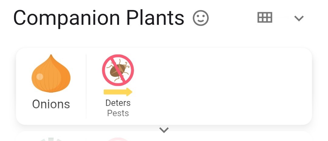 Screenshot of carrots Companion Plants collapsed list