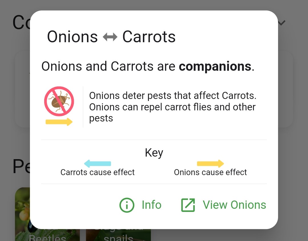 Screenshot of the carrot and onion companion relationship card