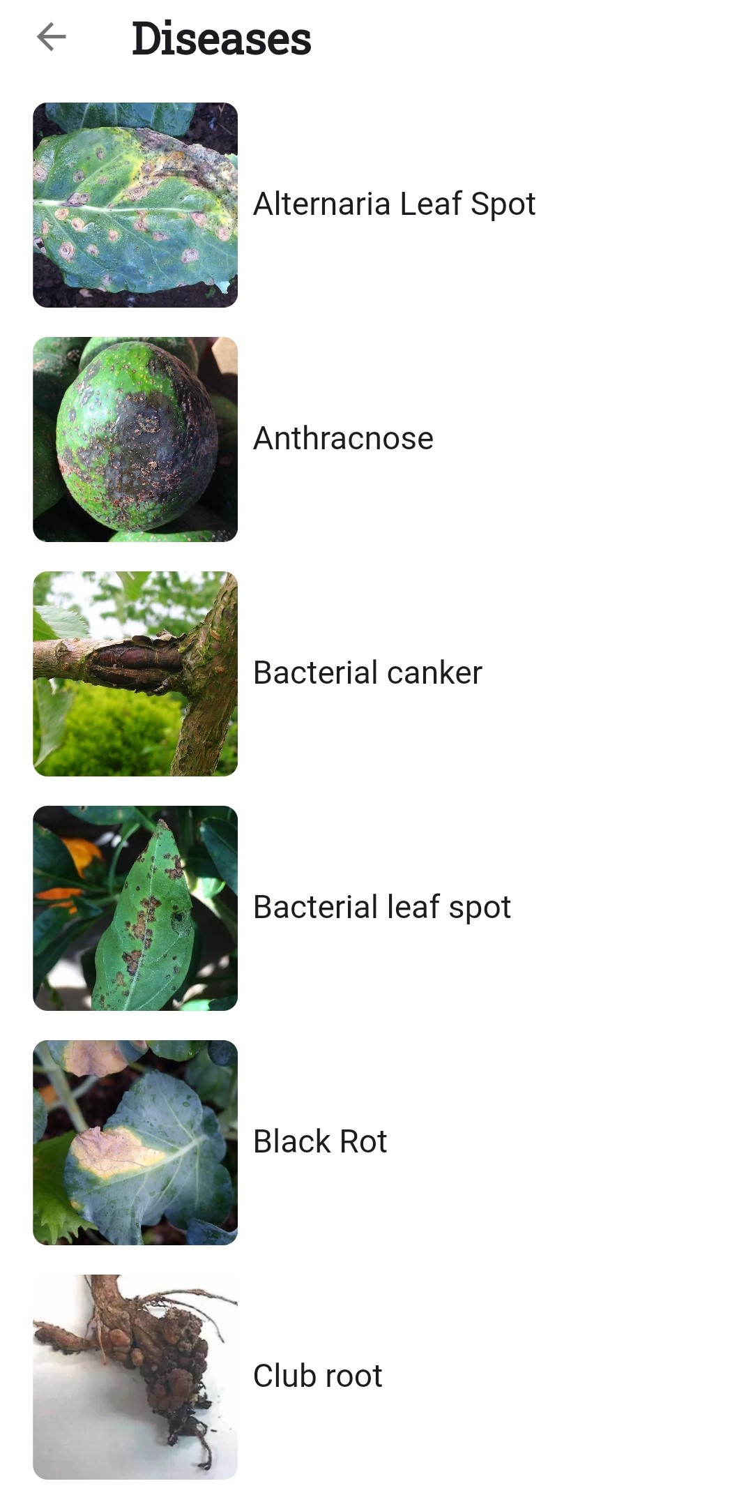 Screenshot of the list of diseases
