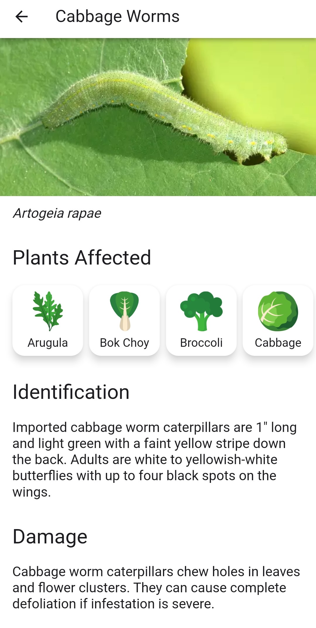Screenshot of pest details