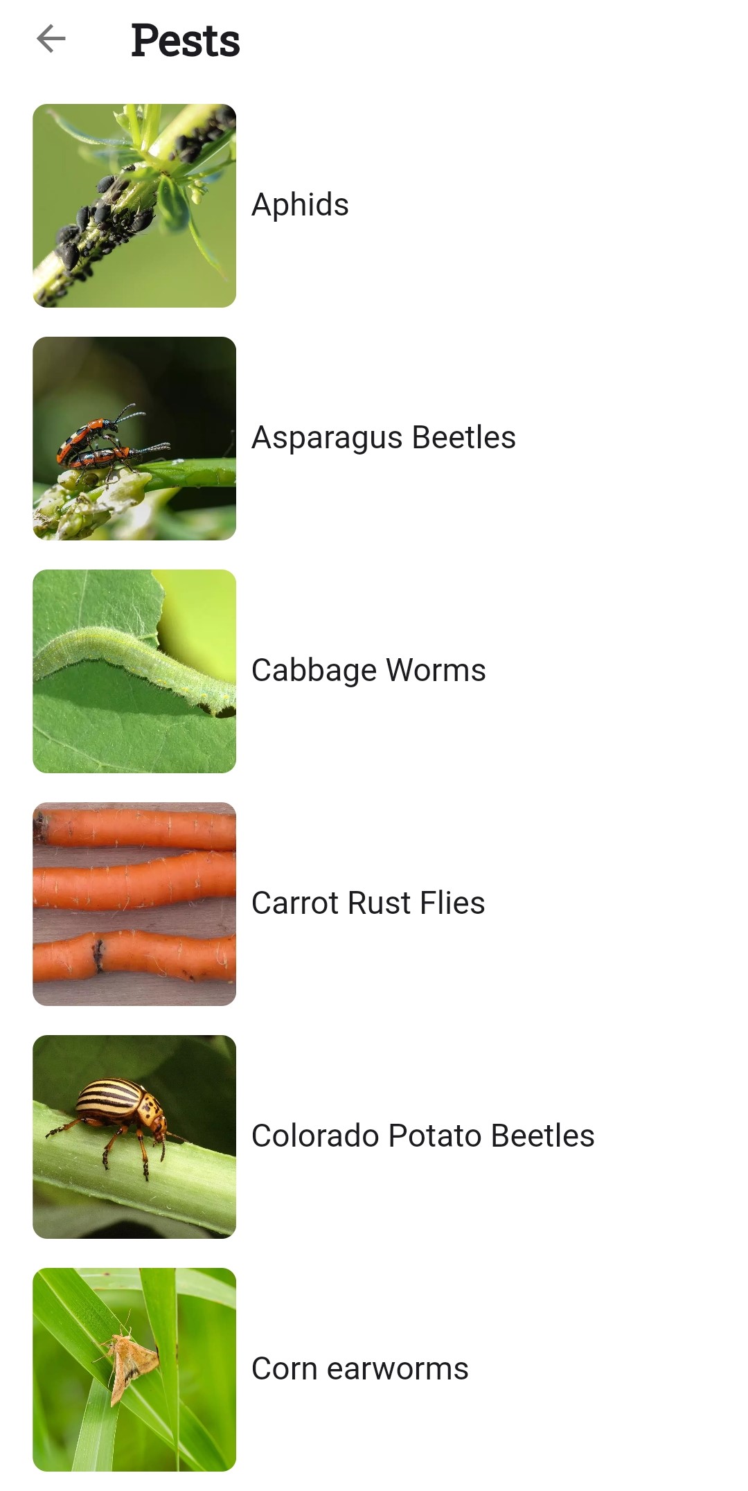 Screenshot of the list of pests