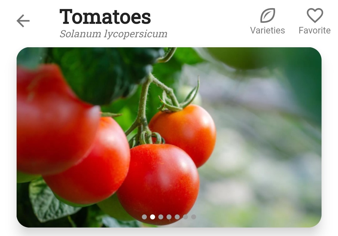 Screenshot of the Varieties tab for tomatoes