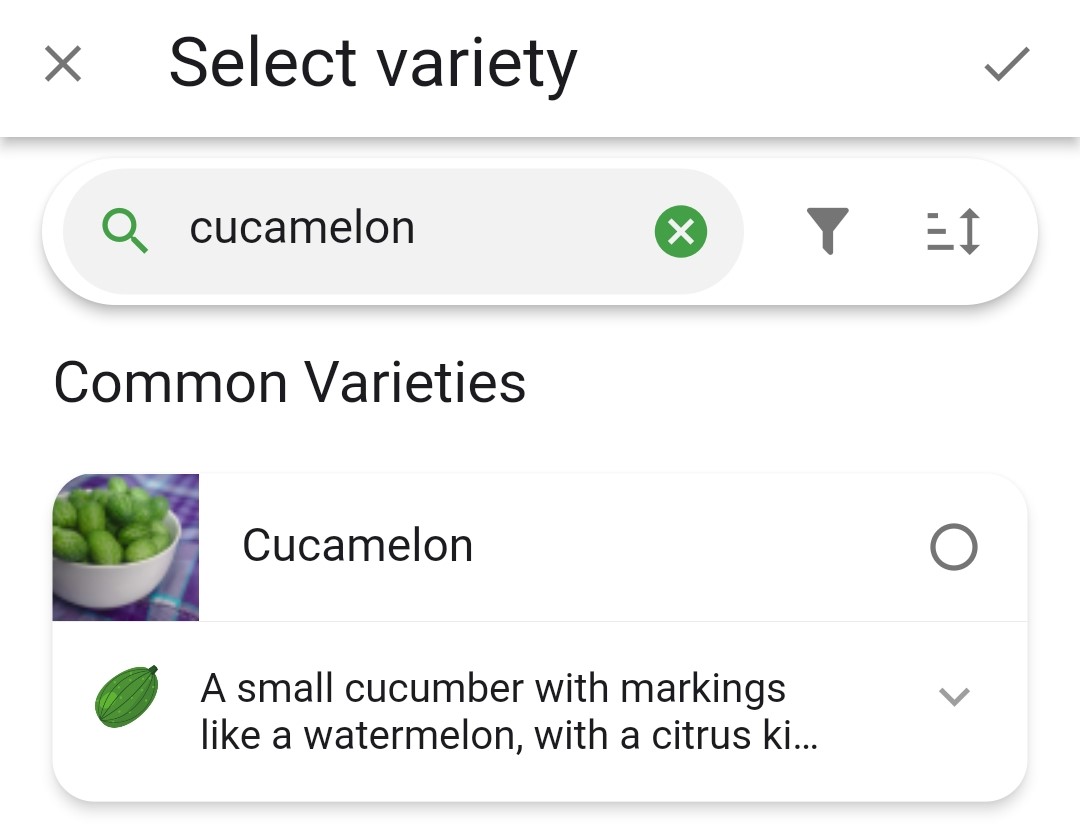 Screenshot of the variety search bar with cucamelon entered