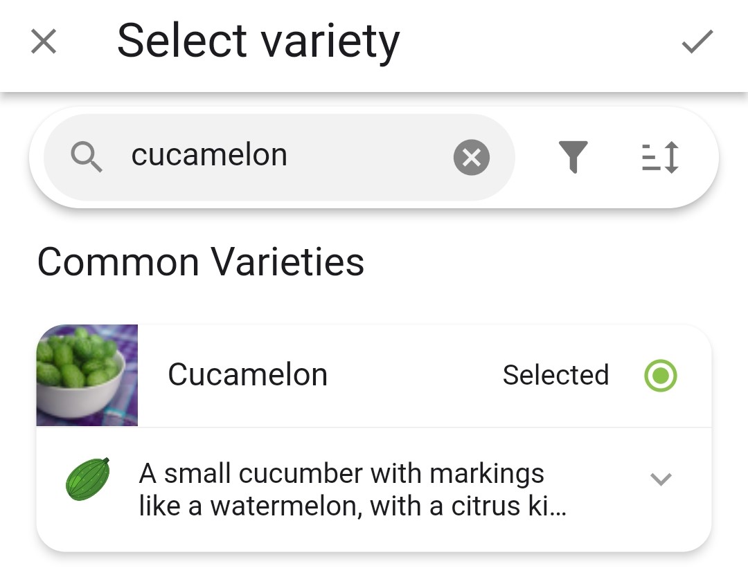 Screenshot of cucamelons as the selected variety